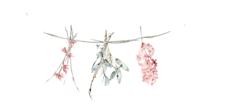 fleurs à sécher.png