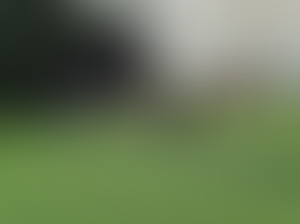 Park View Cricket Academy & Northamptonshire CCC