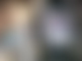 柳川ばゆつら～っと歩かんば～(田中吉政公の墓）