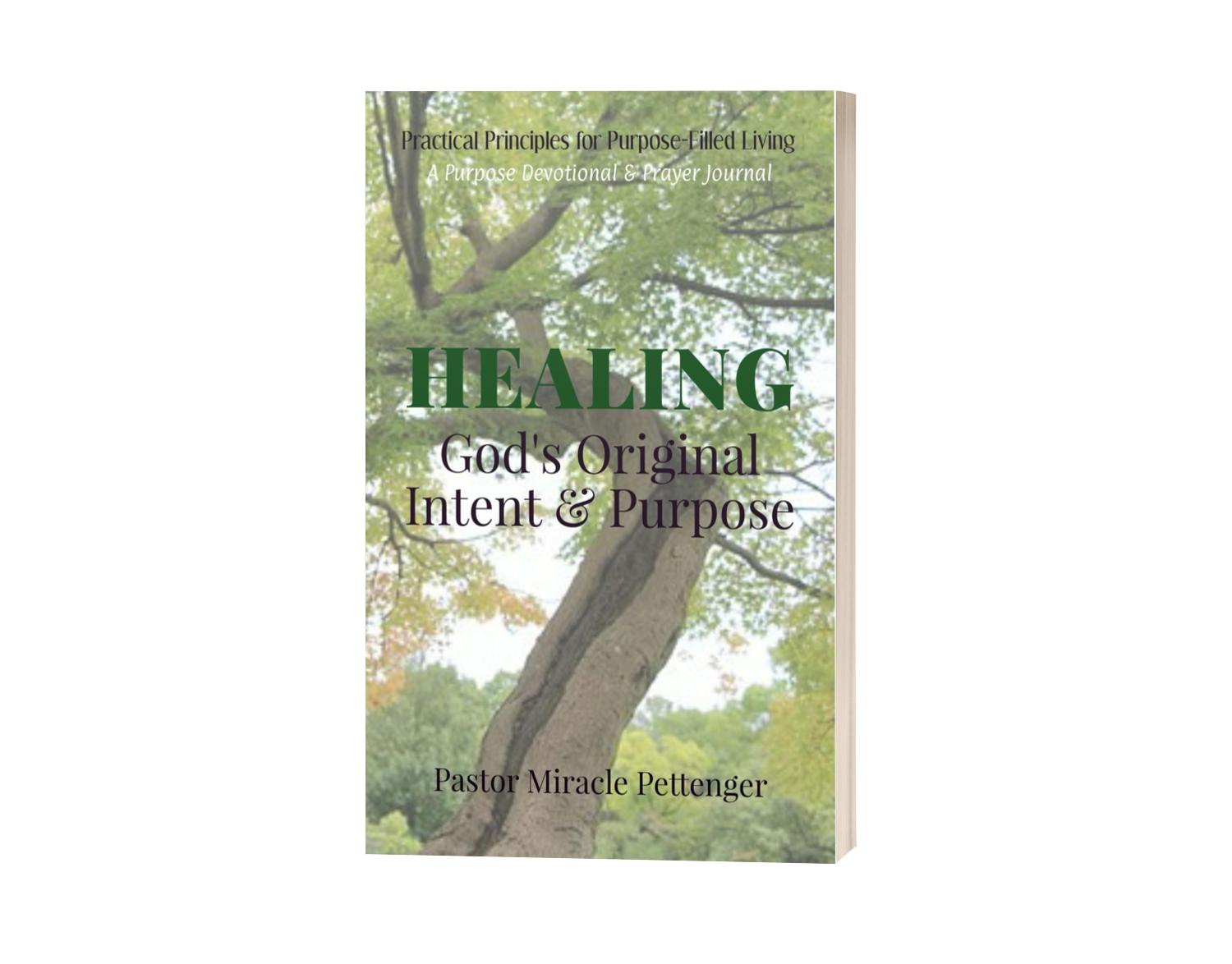 HEALING: God's Original Intent & Purpose