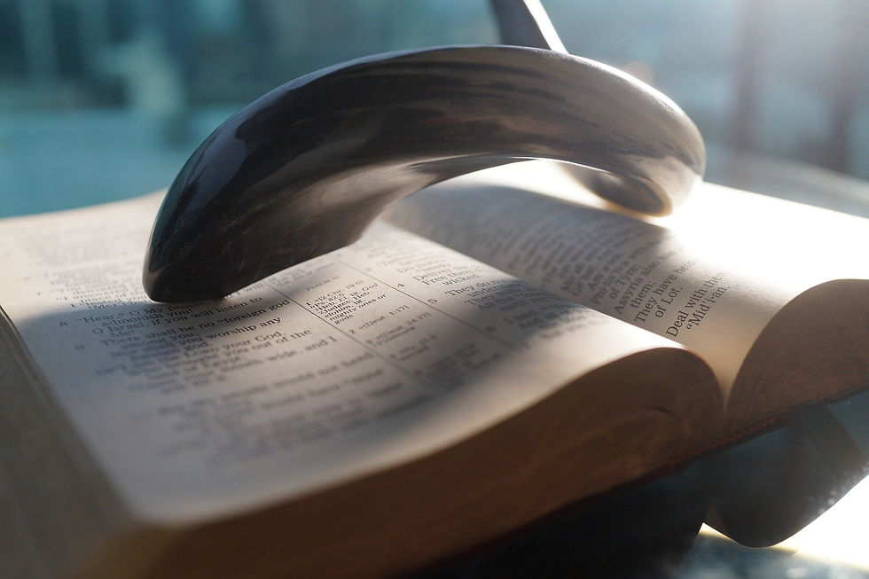 bible-2638110_1920.jpg