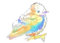 鳥.jpg