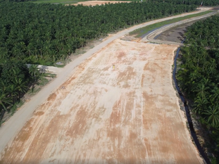Soluciones de Monitoreo de Deforestación Adaptadas para el Cumplimiento de EUDR: Koltiva Presenta su Rastreador de Uso de Tierras 