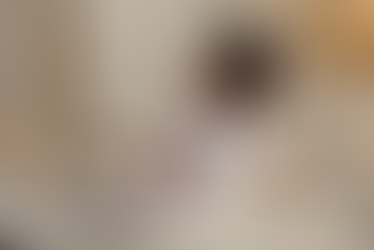 Il Fascino della Gravidanza