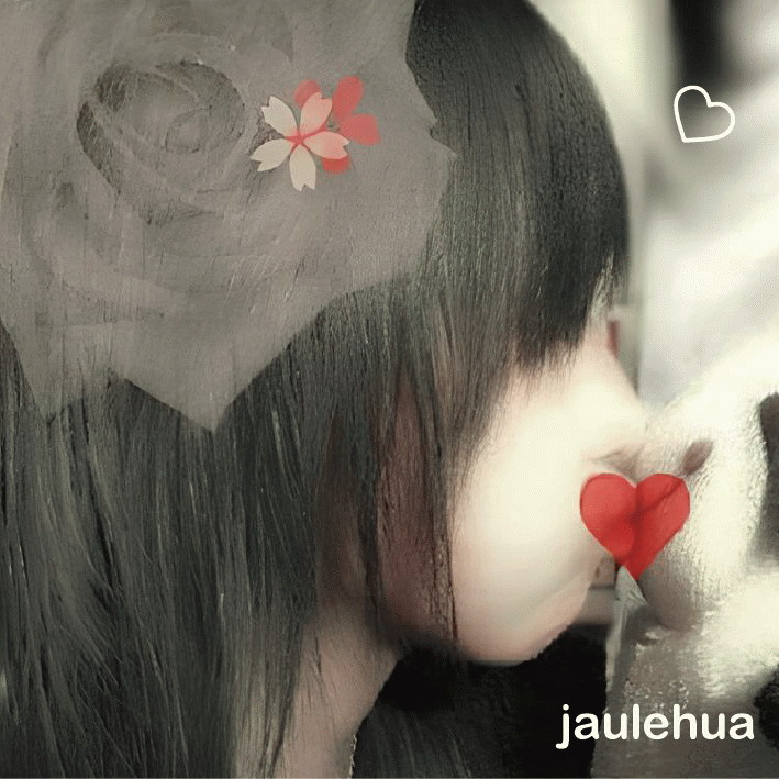 520520.gif
