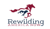 download (1)_edited.png