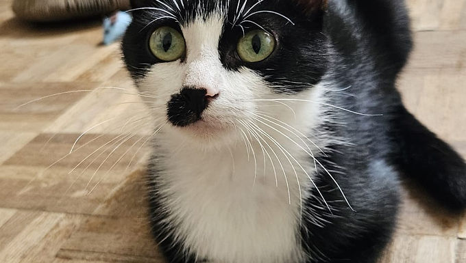 Charlie