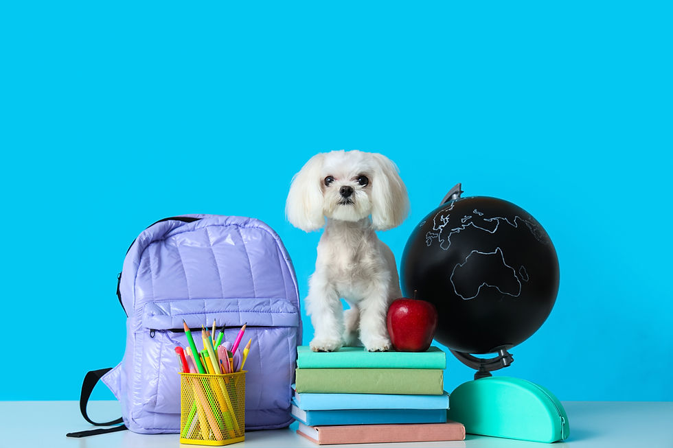 Back to School 20% Off