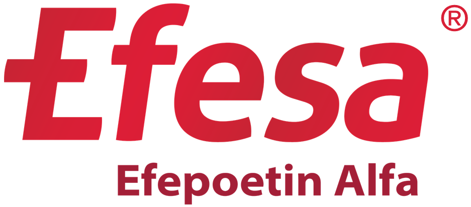 Logo Efesa with (R).png