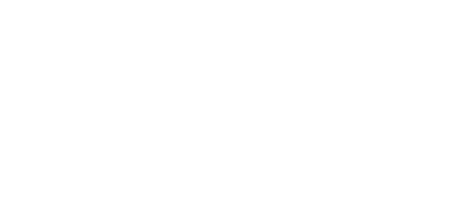 Logo Efesa with (R)_white.png