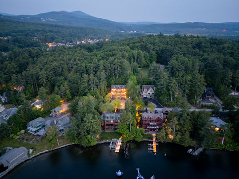 Aerial view of lakeside houses nestled in dense forest at dusk.