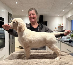 GabieGoldøs Unbreakable