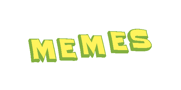 2024-11-09-MEMES.gif