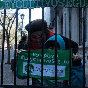 COLMED y su opinión ante 'Ley cultivo seguro'