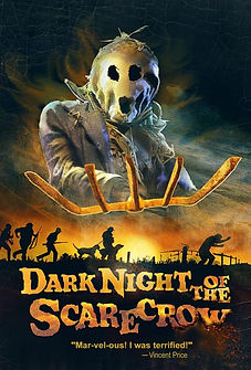 Dark Night Of The Scarecrow Movie Poster