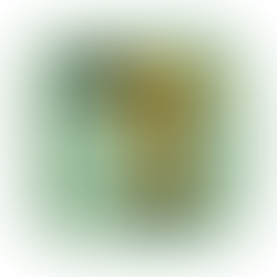 活動拠点の改装に着手しました