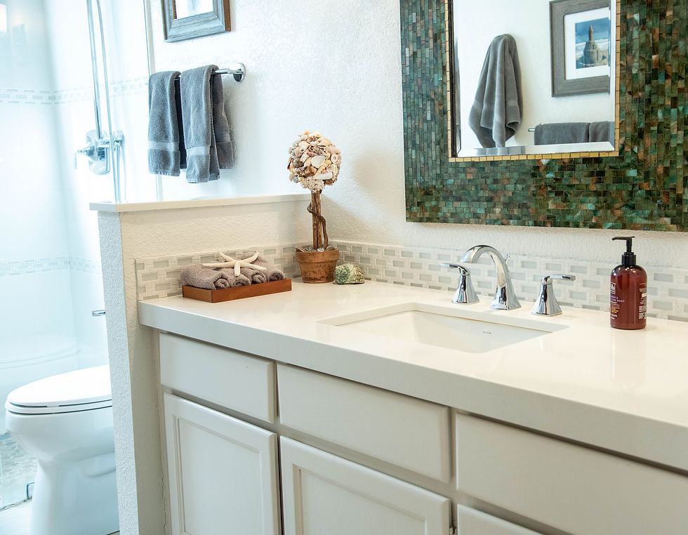 Guest bathroom cabinets with counter top and new appliance