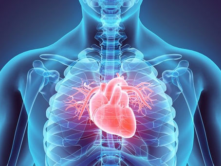 Heart Disease: Be Aware of your Risk