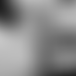 #高級古典蕾絲 #輕紗 #圓型領 #施華洛世奇水晶水鑽   