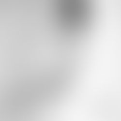 #亮蔥蓬裙白紗 #落肩荷葉設計 #No Lace