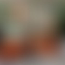 Woonkamer trends 2023: Duurzaam, kleurrijk en thuiskantoor 