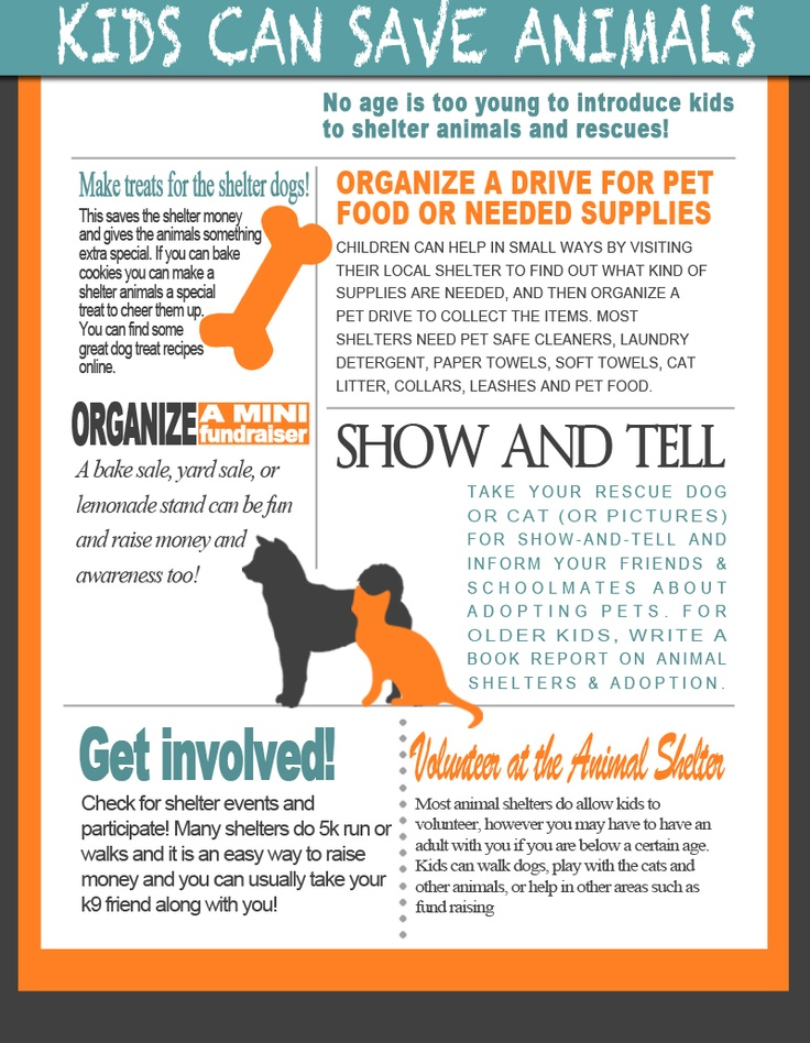 Simple Ways Kids Can Help Save Animals