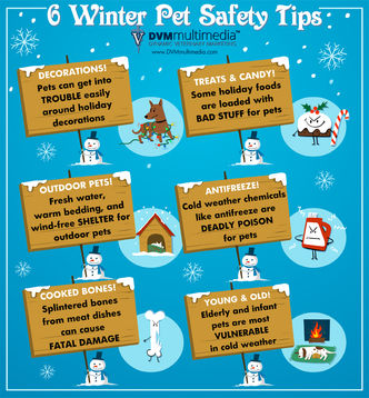 Winter Pet Safety Tips