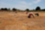 CFA-Archaeology-Archaeological-Excavation-Header-2.jpg
