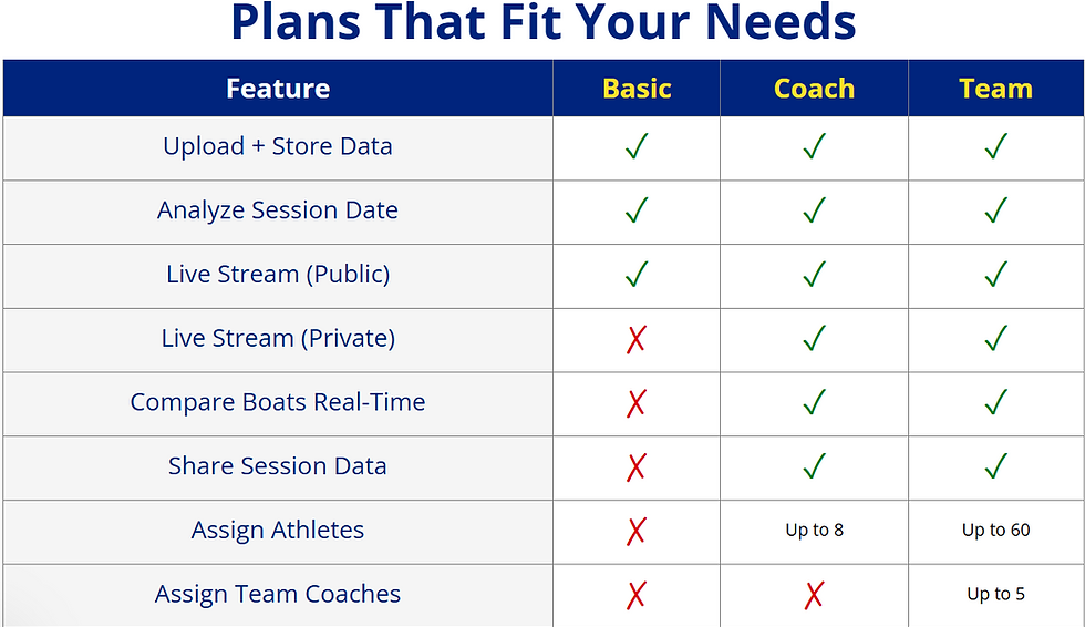 Table Chart of subscription features