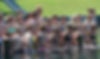 WRC-Luc2013_008.JPG