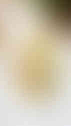 composition florale colorée pour centre de table d'un mariage 