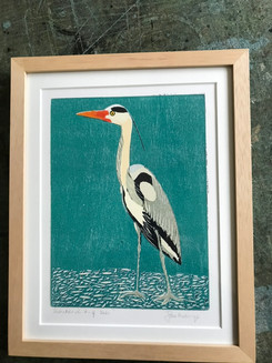 Joke Belonje, Reiger