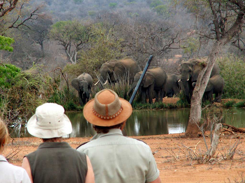 Safari walk