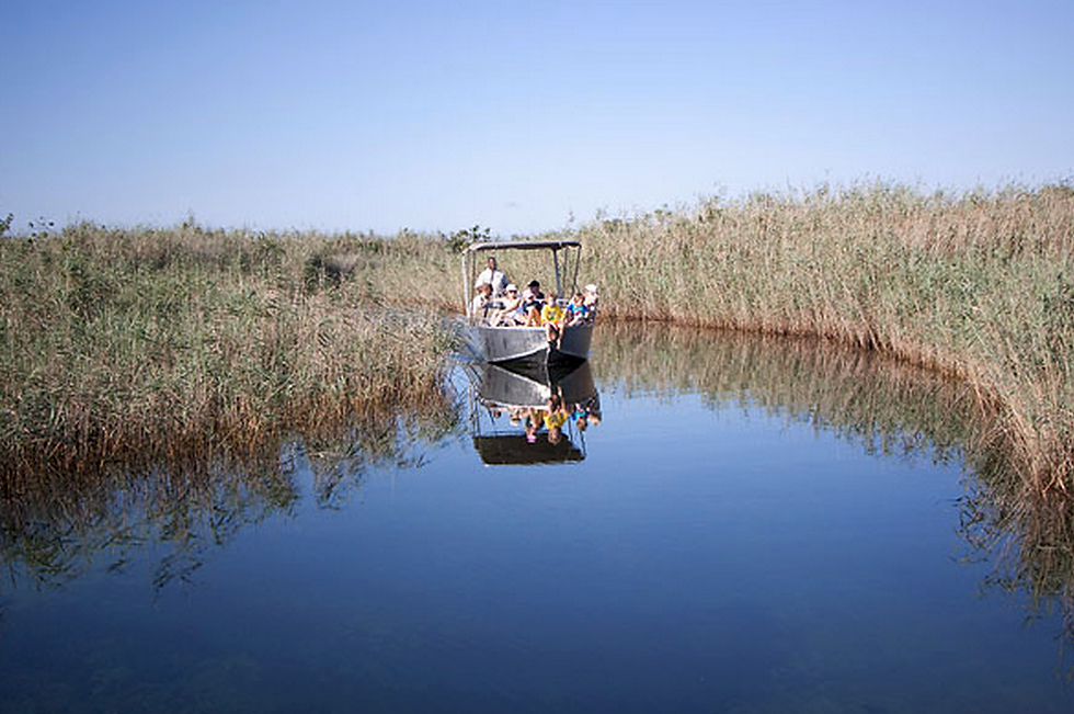 Boat safari