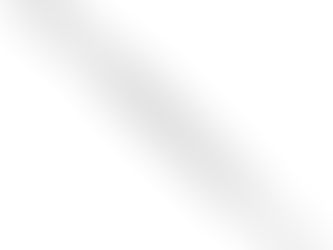 Steel dental bone file against a white background with "Max Plus" logo top right. "DENTAL BONE FILE" text in green and black bottom left.