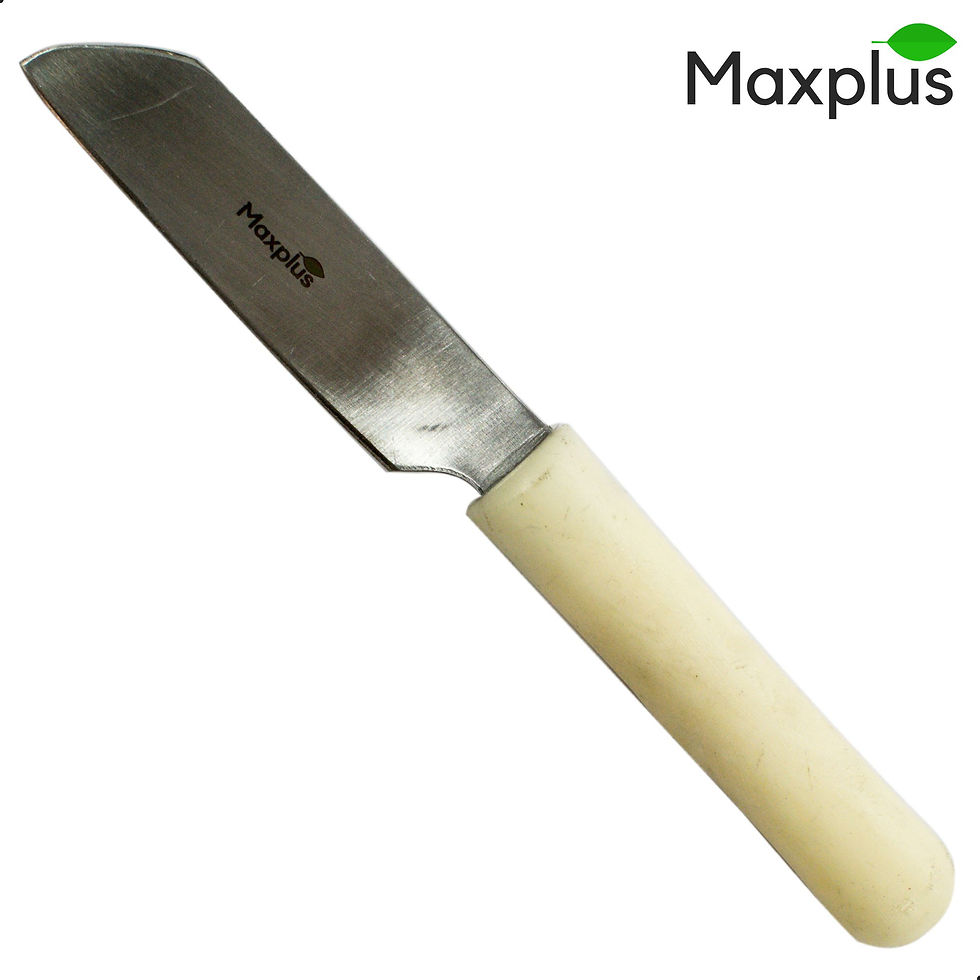 Miniatura: Plaster Knife