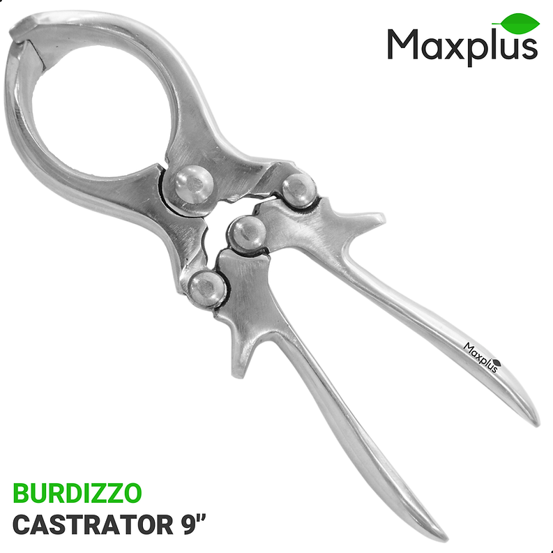 Max Plus Burdizzo Castrator 9": A high-quality stainless steel tool designed for bloodless castration in livestock management.