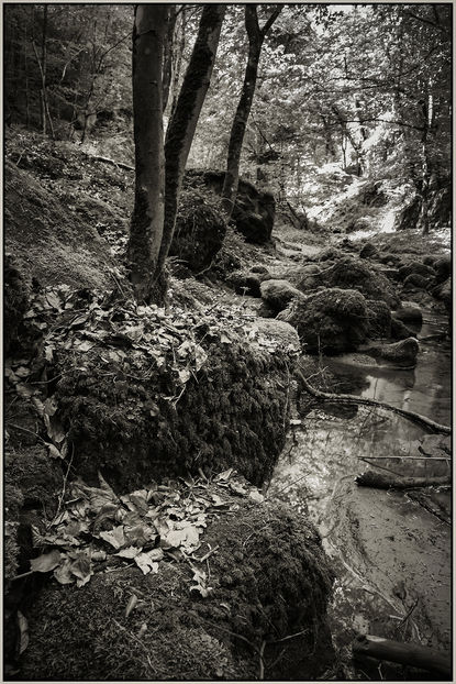 99006 20220224 02 3199 old frame.jpg