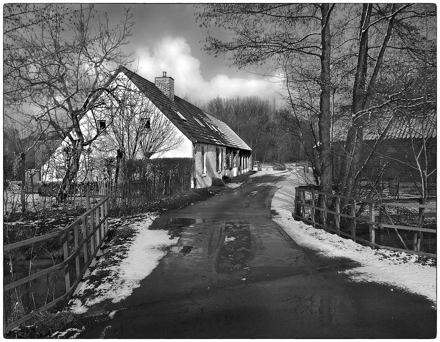 99005 20220127 04 winter blues 4.jpg