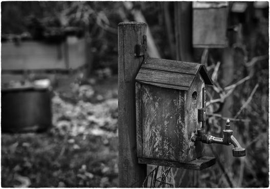 99005 20220428 06 tuin van eden 6.jpg