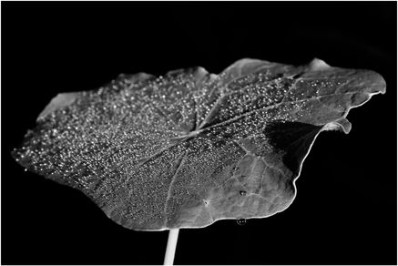 99009 20220929 05 221007_110008wz foto_01.jpg