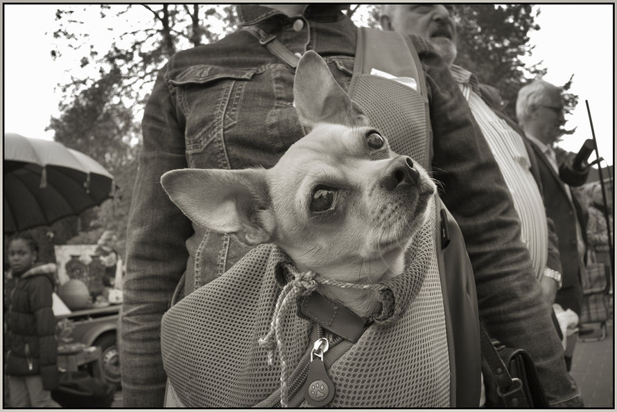 99006 20220630 07 DSC07687 old frame.jpg