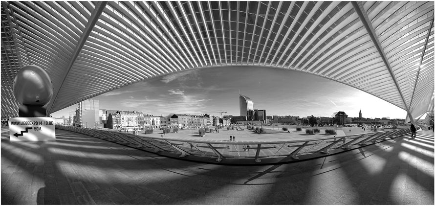 99006 20210826 08 opdracht pano 9 Luik.jpg