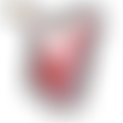 USPS Operation Santa!