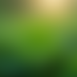 The Lore Behind Saint Patrick's Day