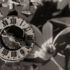 Time Test your Sprocs