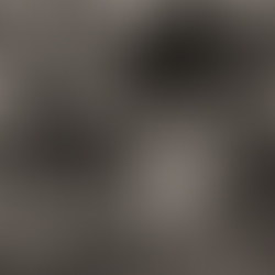 Time Test your Sprocs