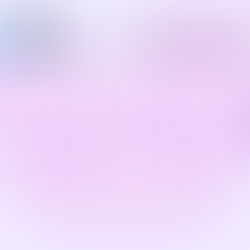 Fairygodboss Inspiration Sunmit 2024