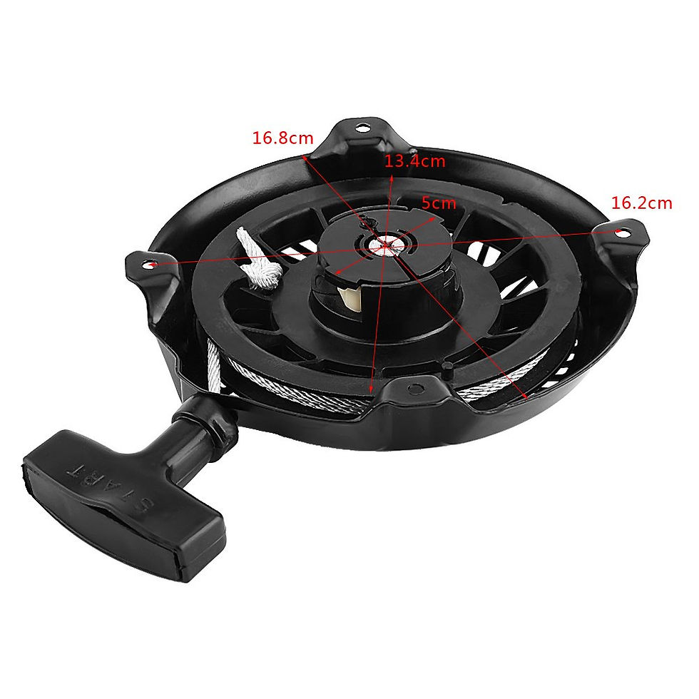 Miniatura: POLEA DE ARRANQUE PARA PODADORA CON MOTOR BRIGGS & STRATTON 591301 693394 791670