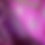 Thumbnail: PLUM BERRY